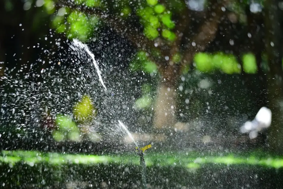 Greens & Outdoors at HERO ALAKNANDA, Panchayanpur, Haridwar